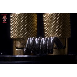 6 Core Alien Clapton